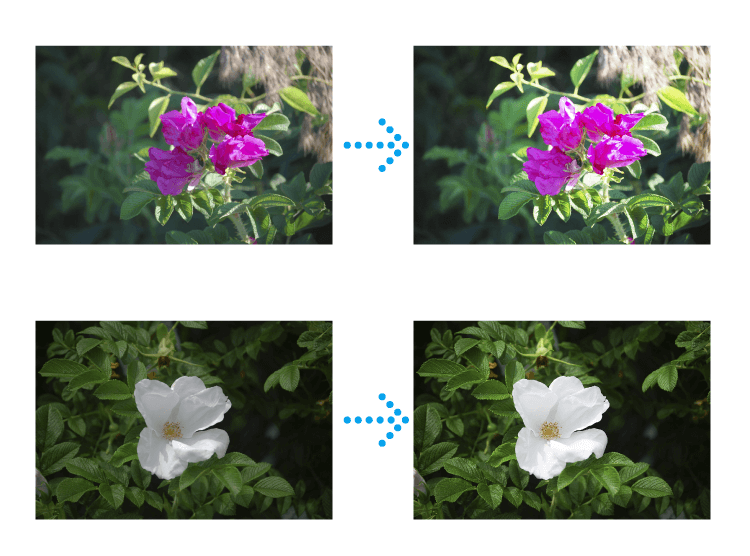 Print Before photo_before_after - Koei Printing Co.